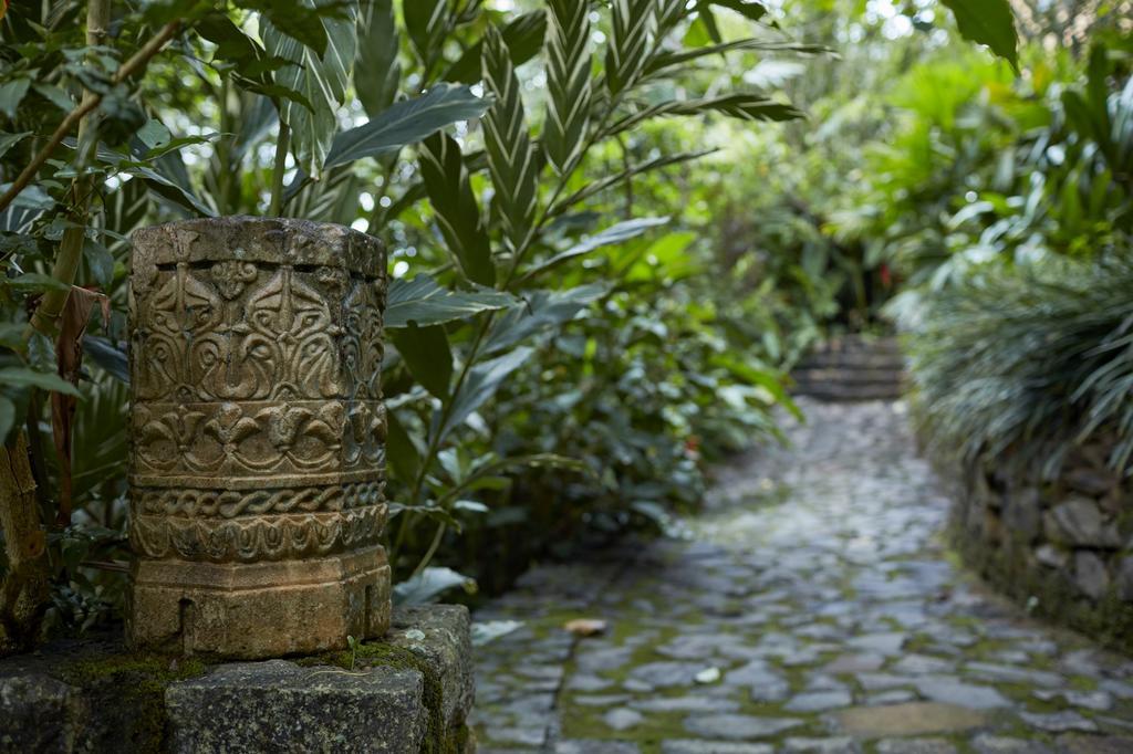 Bamboo Villa Kandy Digana Eksteriør billede