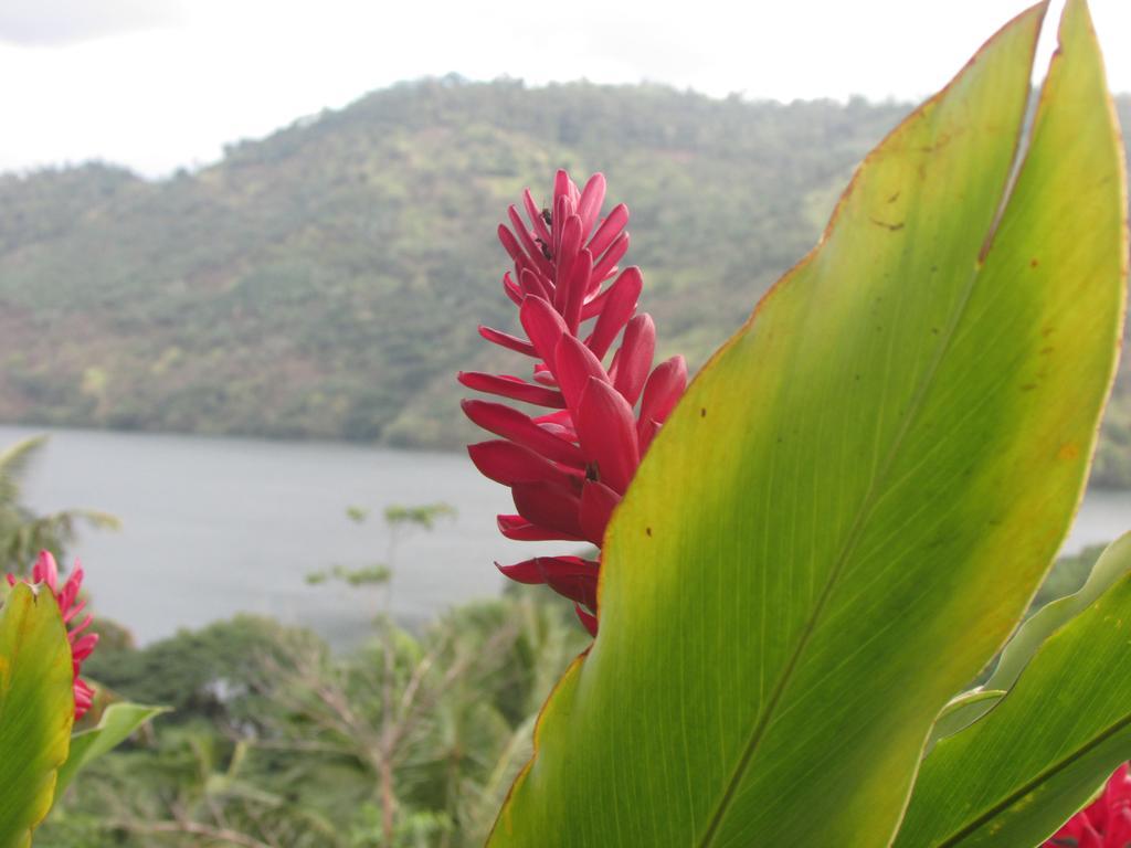 Bamboo Villa Kandy Digana Eksteriør billede